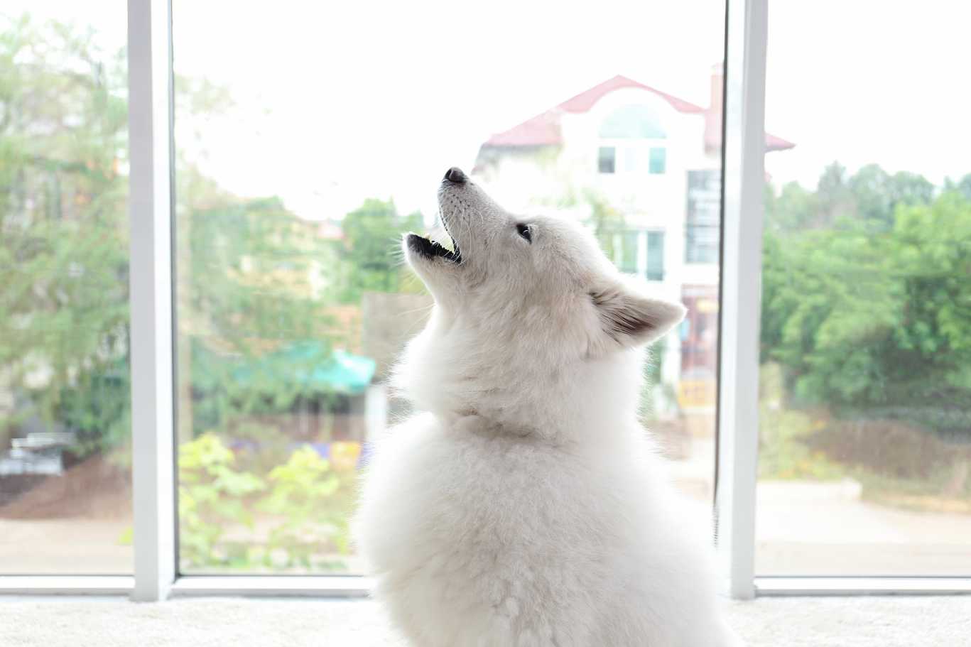 shutterstock 534236287