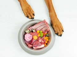 5 Best Dog Foods for Allergies (2022)