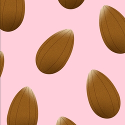 Can Dogs Eat Almonds?
