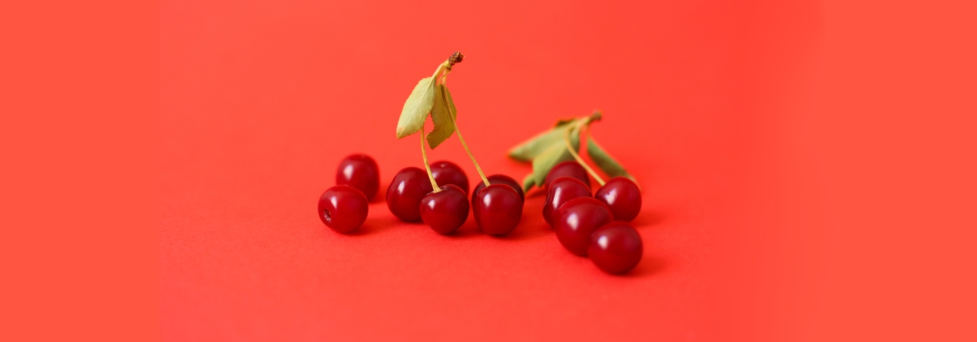 Can Dogs Eat Cherries