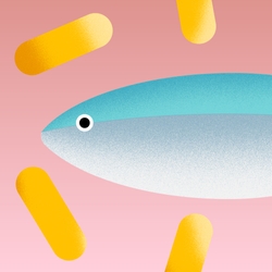 Fish Oil for Dogs: Everything You Need To Know