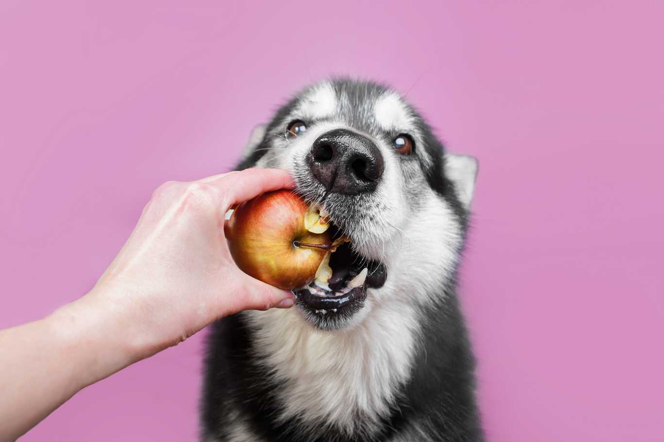 shutterstock 686136109