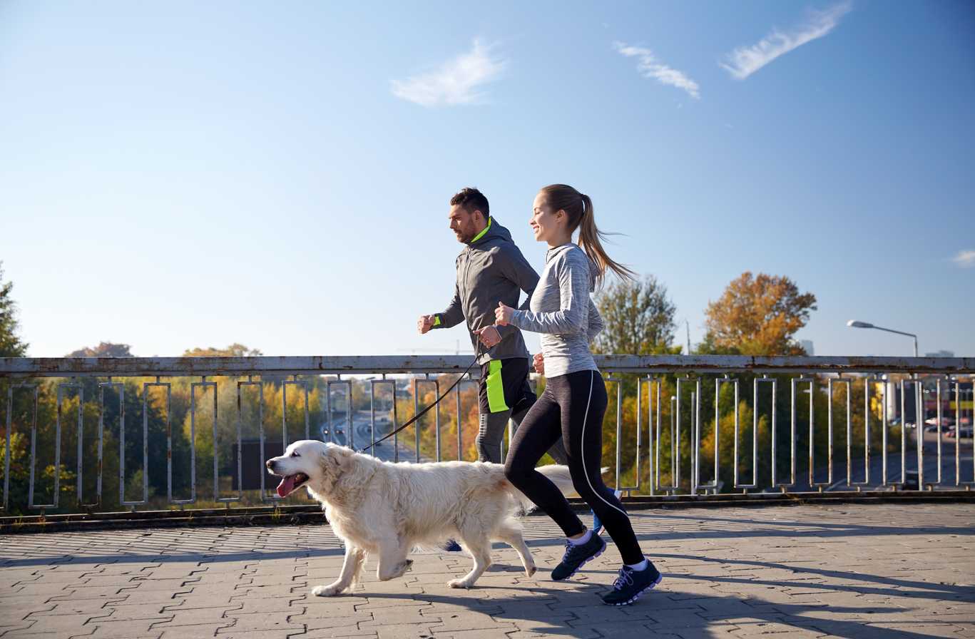 Dogs make for great running buddies!