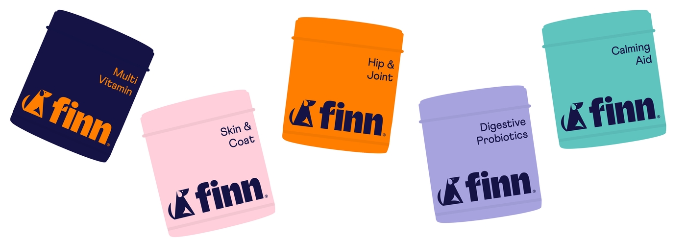 Dog Supplements: What Are They and Which To Use for Your Dog