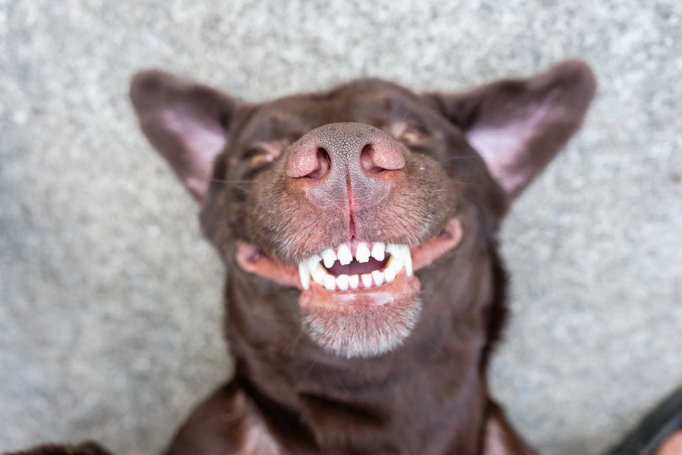 shutterstock 1048325251
