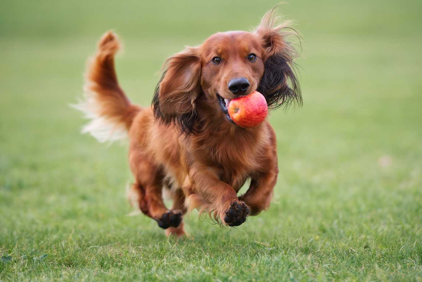 shutterstock 575183722