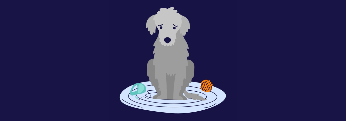 Sad Dog