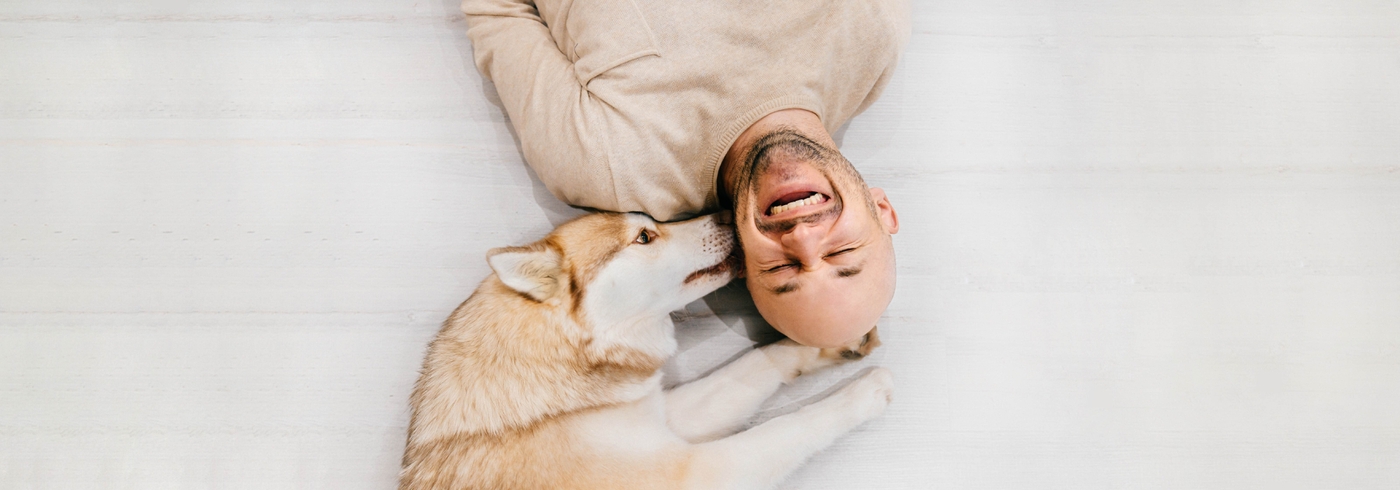 Why Do Dogs Lick You & Lick Other People?