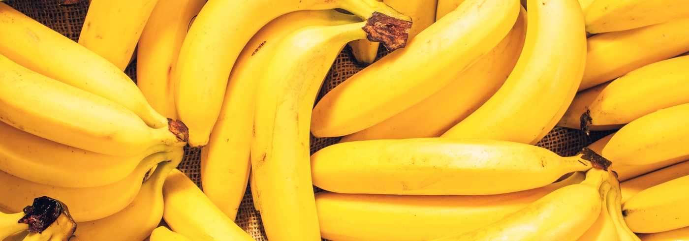 Can Dogs Eat Bananas?