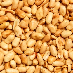 Are Peanuts Safe For Dogs?