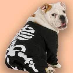 The Ultimate Dog Anatomy Guide 2022