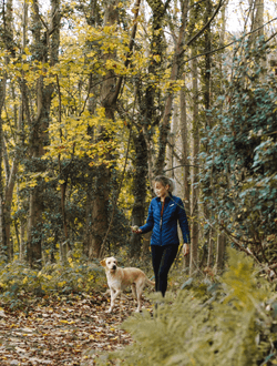 How to safely remove a tick from your dog