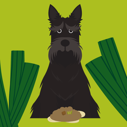 Dog Throwing Up: Causes, Diagnosis, & Treatments