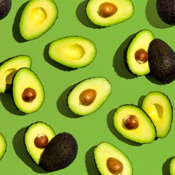 Can Dog Eat Avocado & Avocado Oil?
