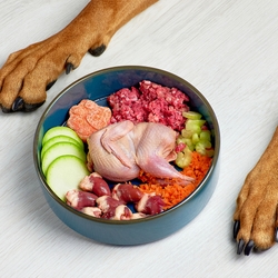 Dog Vitamins: The Ultimate Guide On Vitamins For Your Dog