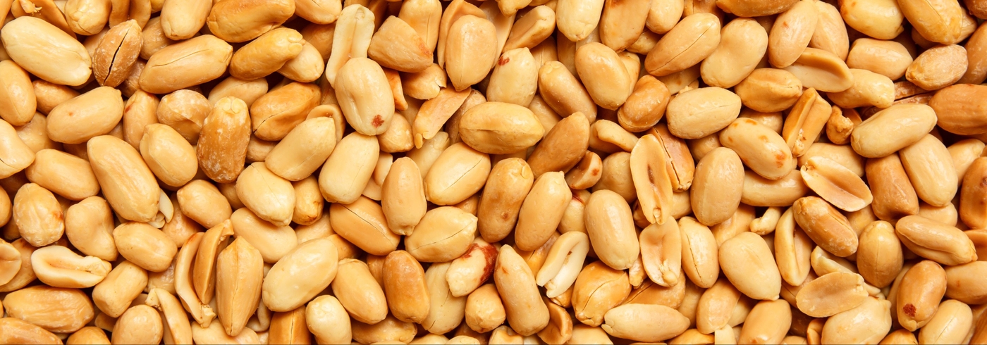 Are Peanuts Safe For Dogs?