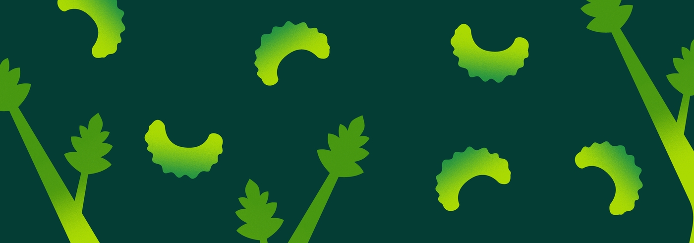 Can Dogs Eat Celery?