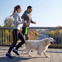 How To Run With Your Dog